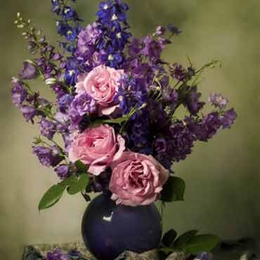 账号批发价格的ddos工具下载